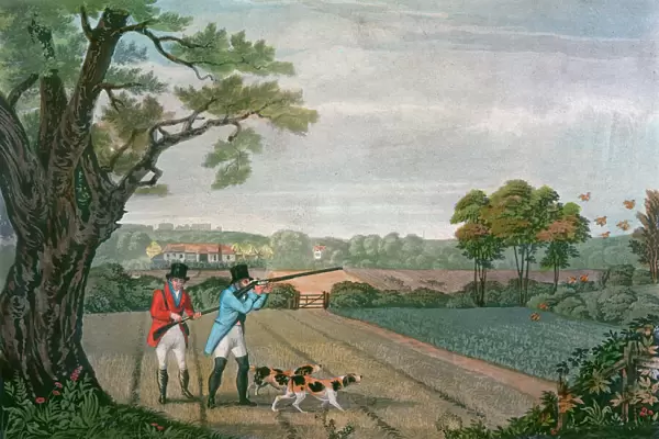 Partridge shoot 1830