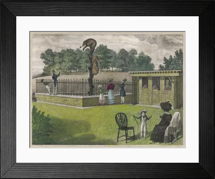 Framed Print : Regents Park Bears Framed Print : Regents Park Bears