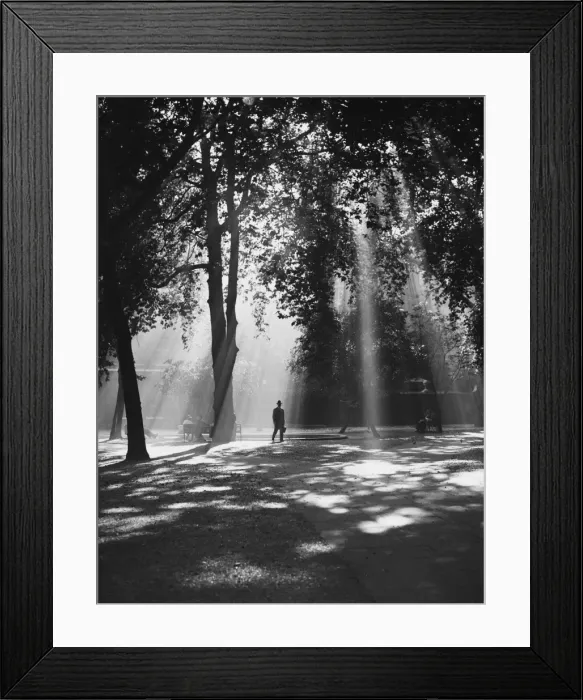 Framed Print : Man Walks in Sunshine Framed Print : Man Walks in Sunshine