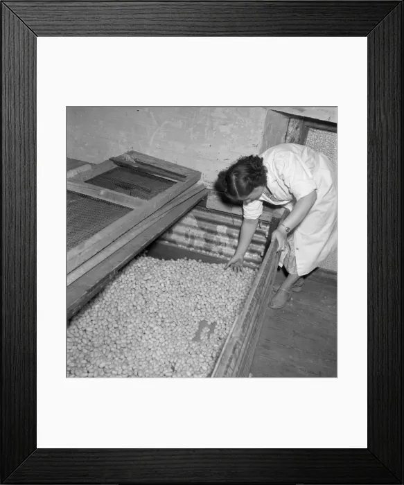 Framed Print : Silk Manufacture Framed Print : Silk Manufacture