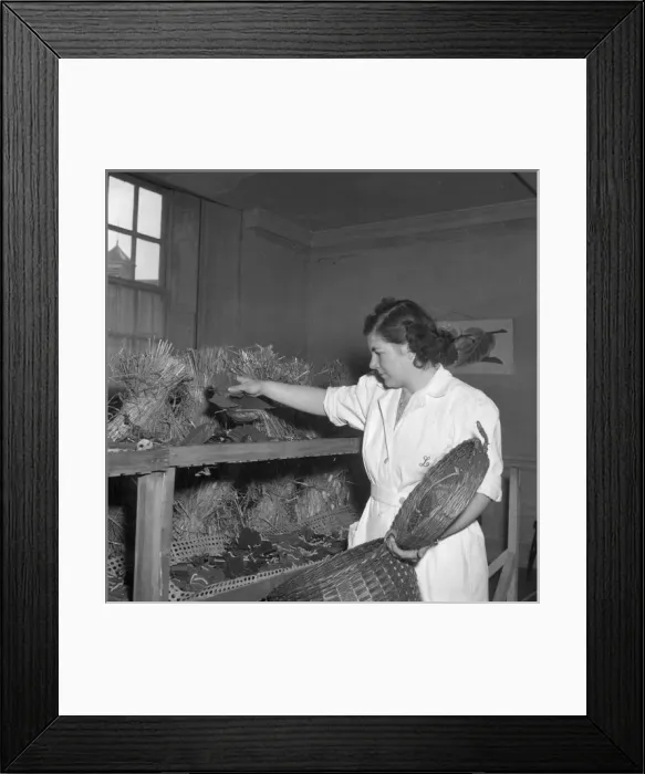 Framed Print : Feeding Silk Worms Framed Print : Feeding Silk Worms