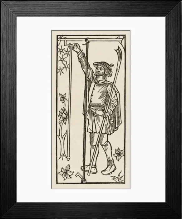 Framed Print : Staking Plants, C15 Framed Print : Staking Plants, C15