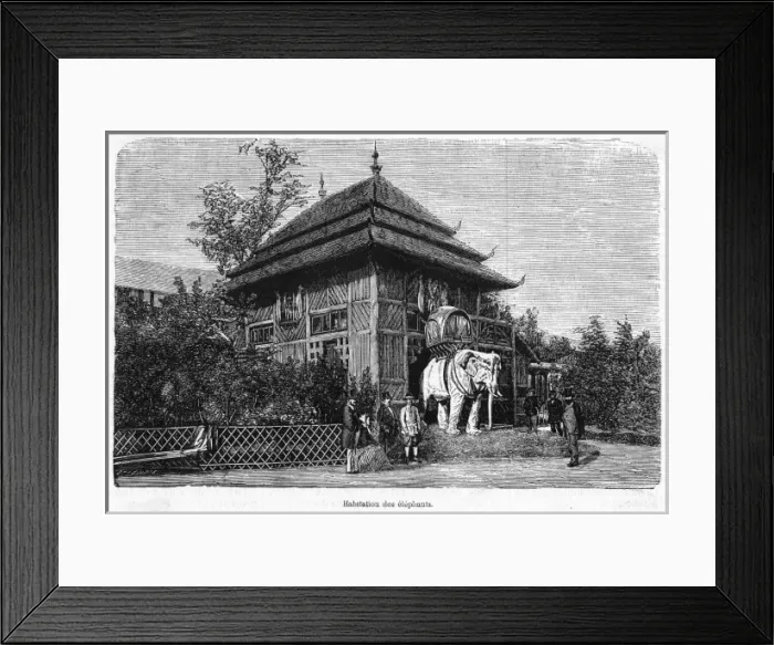 Framed Print : Thailand Bangkok Framed Print : Thailand Bangkok