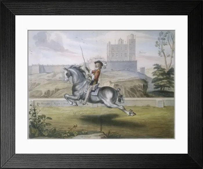 Framed Print : Newcastle Caprioles