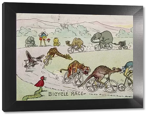 Animal Bicycle Race