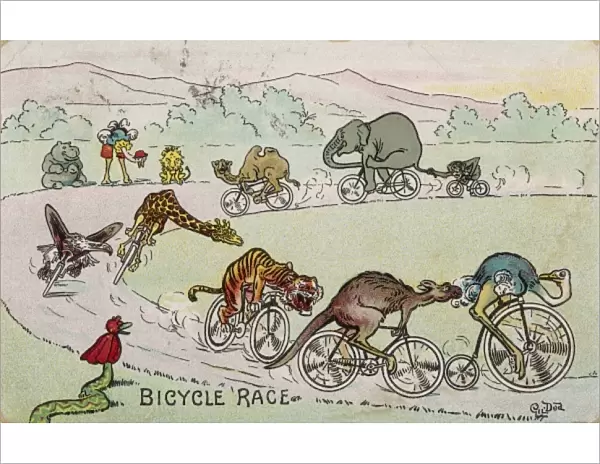 Animal Bicycle Race
