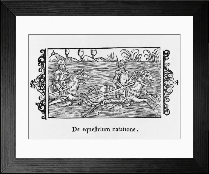 Framed Print : Swim River in Armour Framed Print : Swim River in Armour