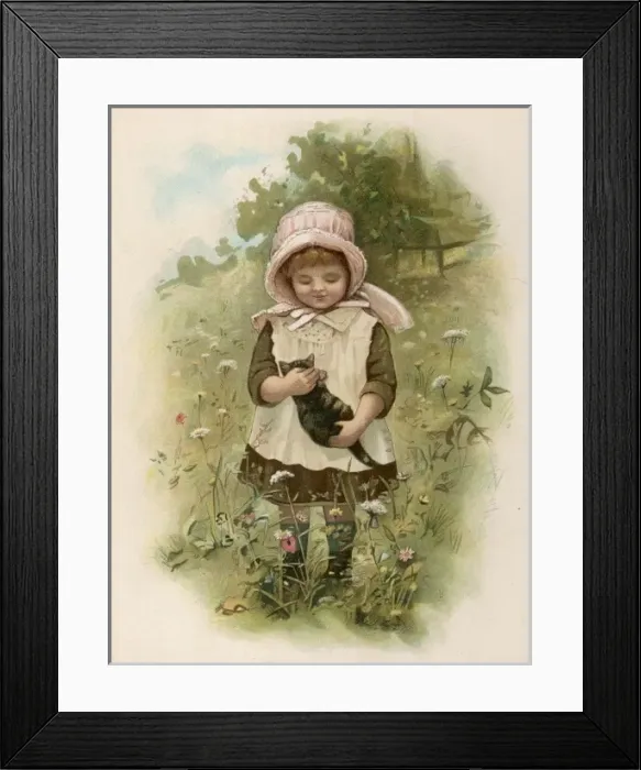 Framed Print : Kitten in a Meadow Framed Print : Kitten in a Meadow