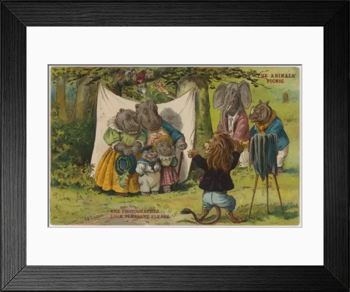 Framed Print : Photo of Hippo Family Framed Print : Photo of Hippo Family