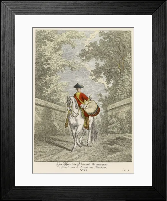 Framed Print : Ridinger Haute Ecole 9 Framed Print : Ridinger Haute Ecole 9