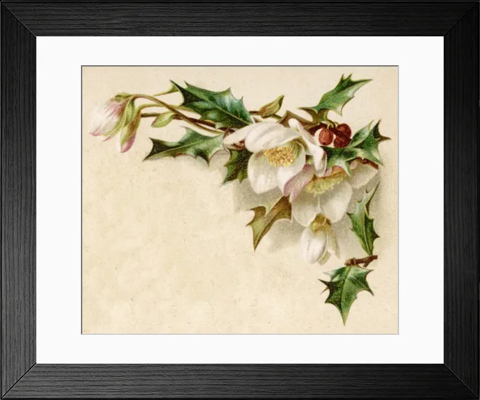 Framed Print : Fulness of Joy Plate 31 Framed Print : Fulness of Joy Plate 31