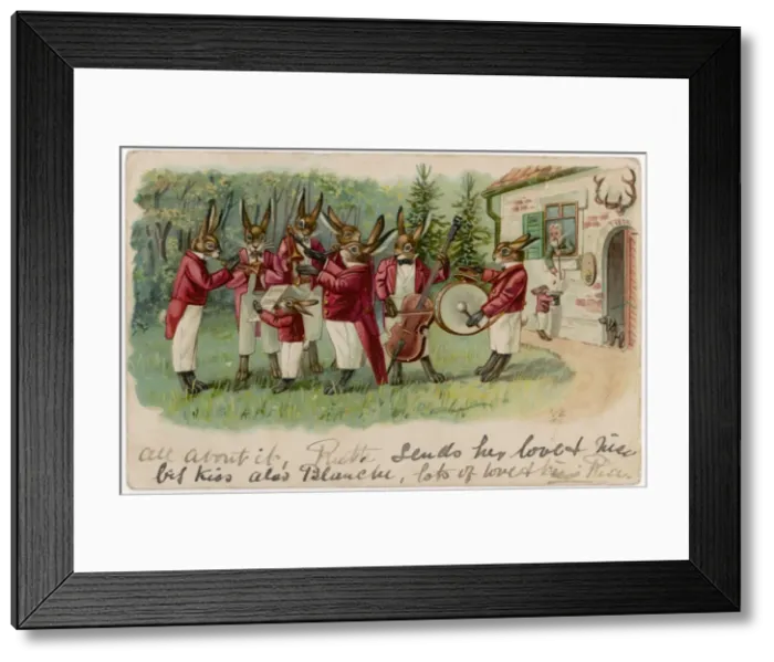 Framed Print : Rabbit Musicians Framed Print : Rabbit Musicians