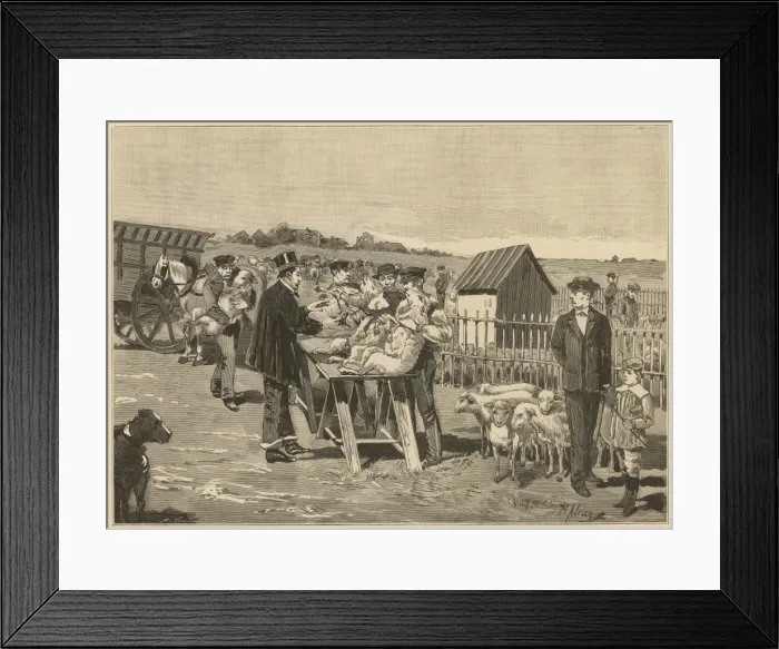 Framed Print : Vet Inoculates Framed Print : Vet Inoculates