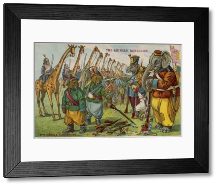 Framed Print : Animal Rebellion - 5 Framed Print : Animal Rebellion - 5