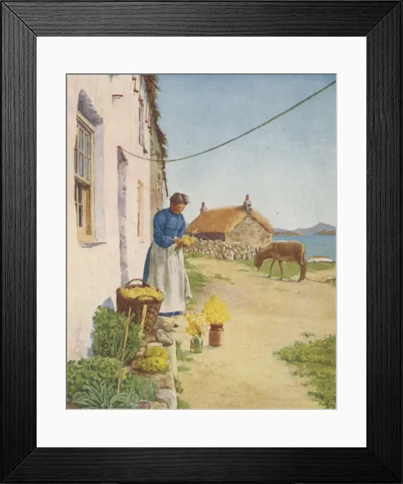 Framed Print : Cottage Flower-Grower Framed Print : Cottage Flower-Grower