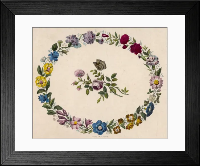 Framed Print : Oval Floral Border Framed Print : Oval Floral Border