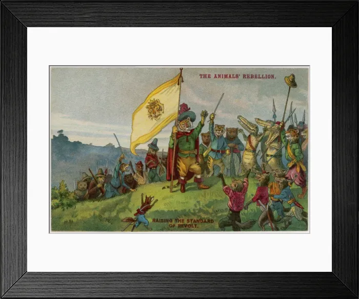 Framed Print : Animal Rebellion - 2 Framed Print : Animal Rebellion - 2