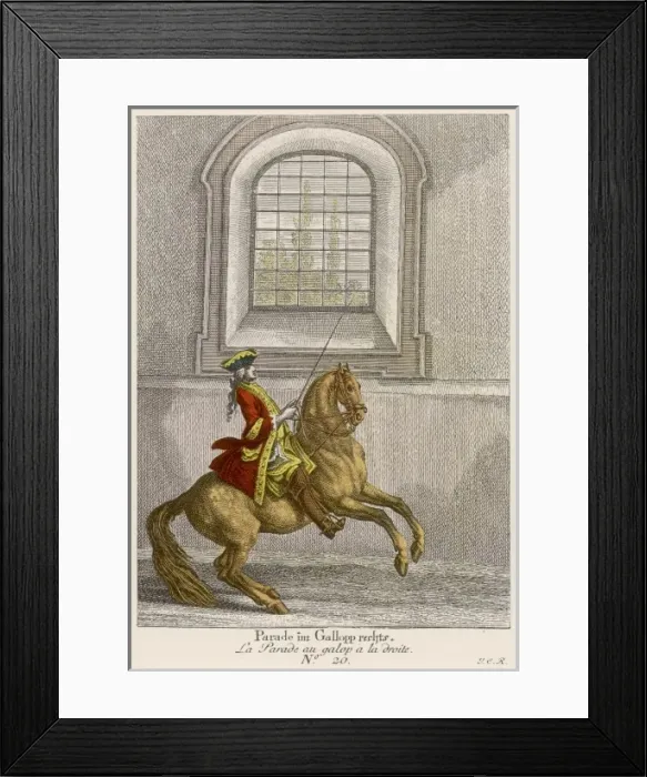 Framed Print : Ridinger Haute Ecole 5 Framed Print : Ridinger Haute Ecole 5