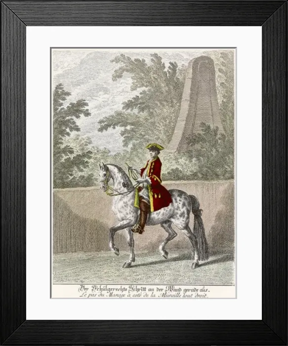 Framed Print : Ridinger Haute Ecole 6