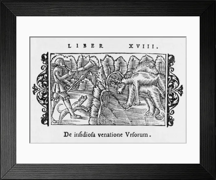 Framed Print : Man & Bear Hunt Deer Framed Print : Man & Bear Hunt Deer
