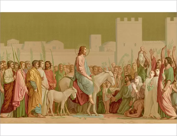 Jesus on a Donkey (Col)