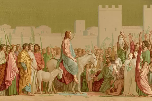 Jesus on a Donkey (Col)
