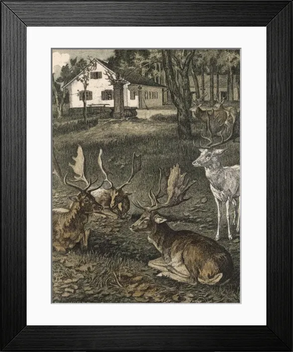 Framed Print : Deer in Park / Jugend / 1904 Framed Print : Deer in Park / Jugend / 1904