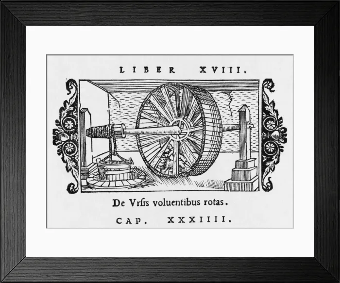 Framed Print : Bear Turns Wheel / Olaus Framed Print : Bear Turns Wheel / Olaus