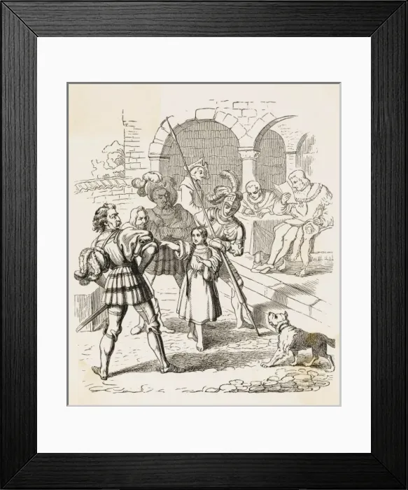 Framed Print : Brave Swiss Miss Framed Print : Brave Swiss Miss