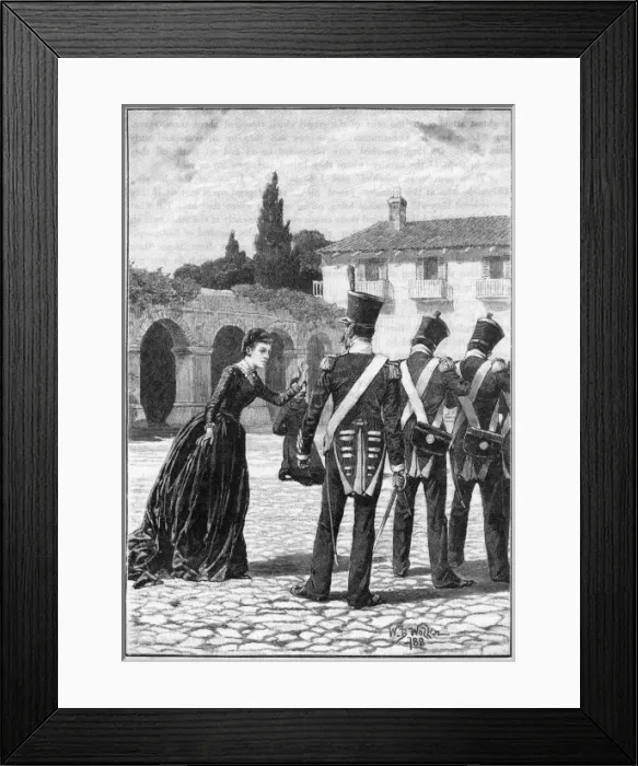 Framed Print : Constitution Framed Print : Constitution