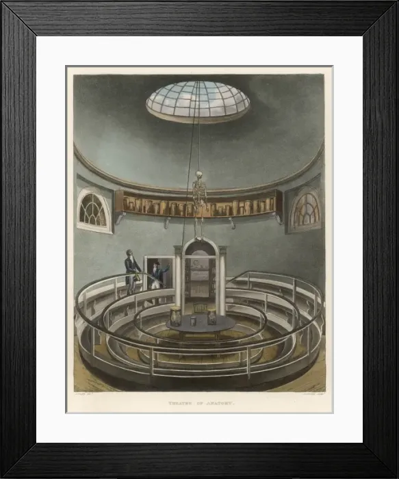 Framed Print : Cambridge Anatomy Theatr Framed Print : Cambridge Anatomy Theatr