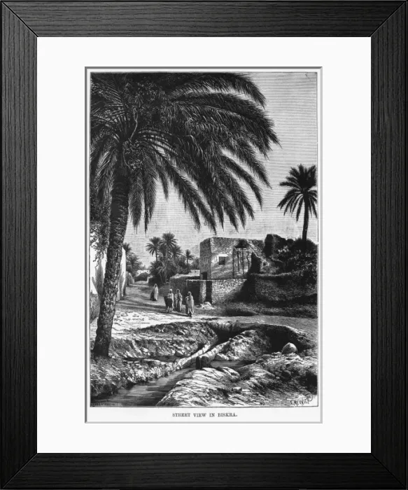 Framed Print : Algeria Biskra Framed Print : Algeria Biskra