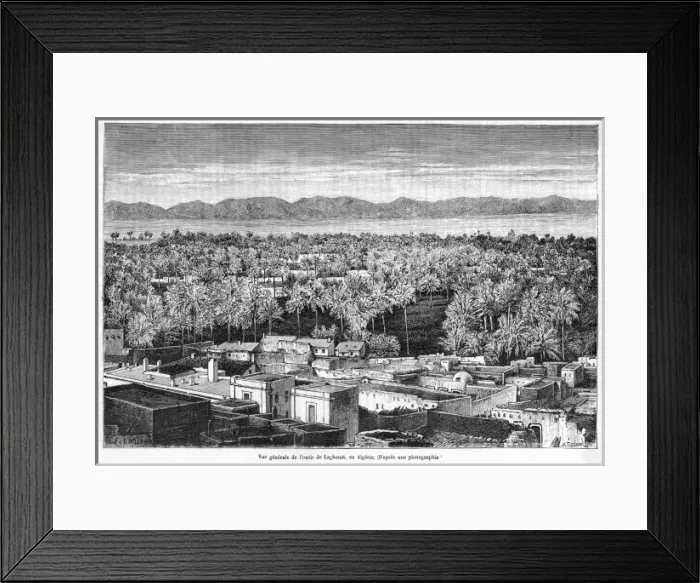 Framed Print : Algeria Oasis Framed Print : Algeria Oasis