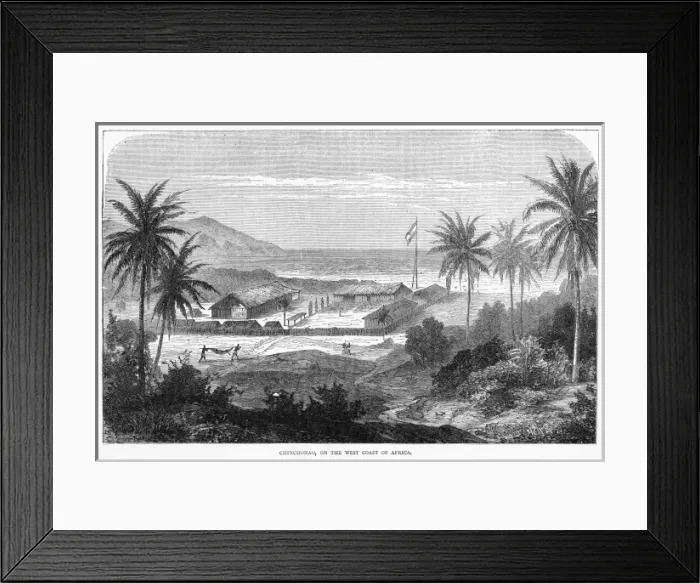Framed Print : Gabon Chinchona Framed Print : Gabon Chinchona