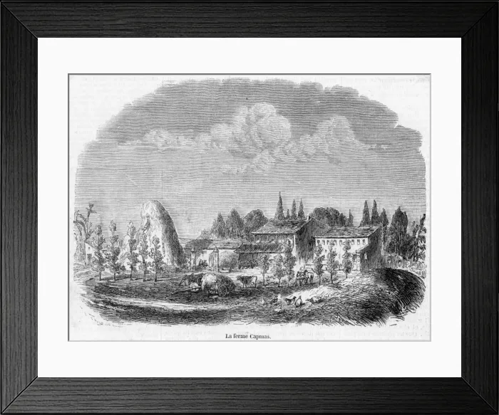 Framed Print : Algeria Farm Framed Print : Algeria Farm