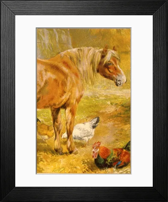Framed Print : Horse & Chickens C1910 Framed Print : Horse & Chickens C1910