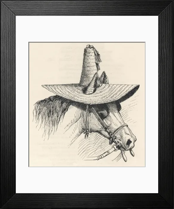 Framed Print : Horse in Sunhat 1896 Framed Print : Horse in Sunhat 1896