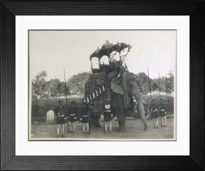 Framed Print : Elephant Transport C1920 Framed Print : Elephant Transport C1920