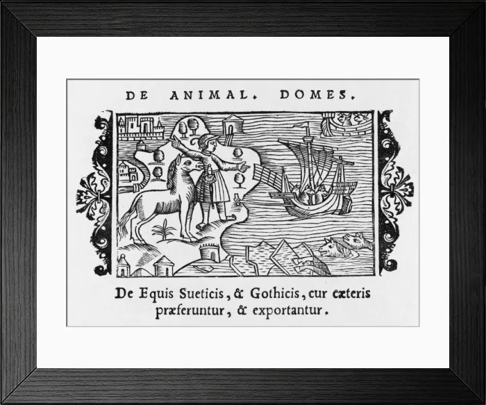 Framed Print : Horses Exported 1555 Framed Print : Horses Exported 1555