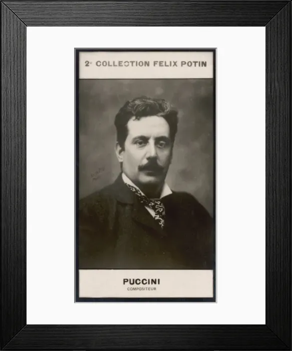 Framed Print : Puccini Potin Photo Framed Print : Puccini Potin Photo