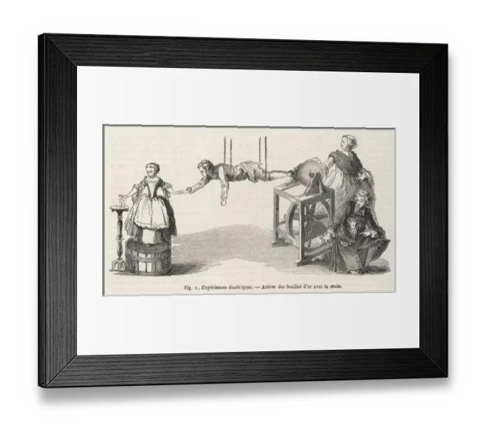 Framed Print : Nollet and Gold Leaf Framed Print : Nollet and Gold Leaf