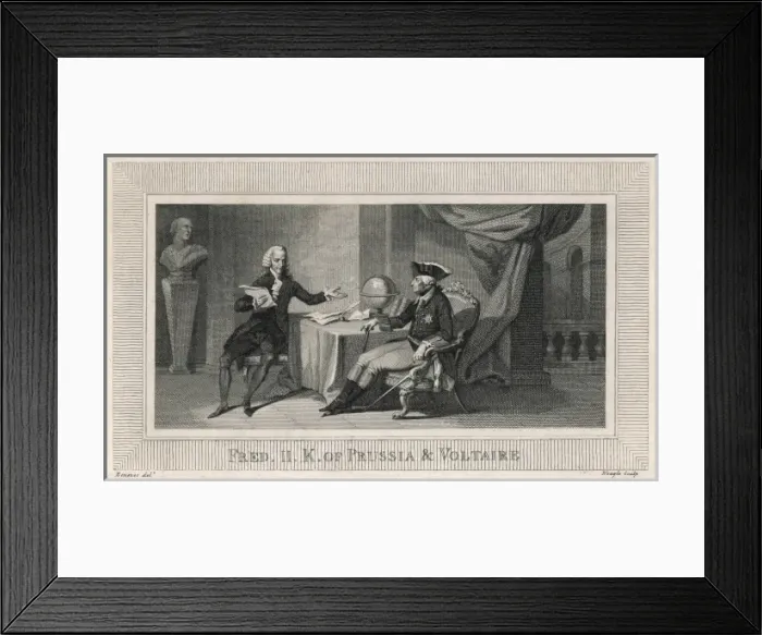 Framed Print : Voltaire Neagle Framed Print : Voltaire Neagle