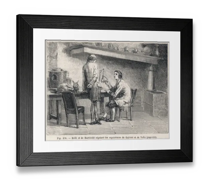 Framed Print : Galvani Replicated Framed Print : Galvani Replicated