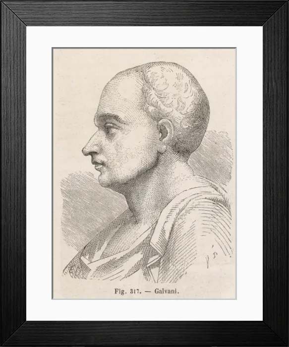 Framed Print : Luigi Galvani Framed Print : Luigi Galvani
