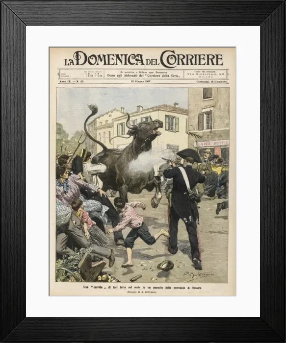 Framed Print : Bull Escapes Novara 1907 Framed Print : Bull Escapes Novara 1907