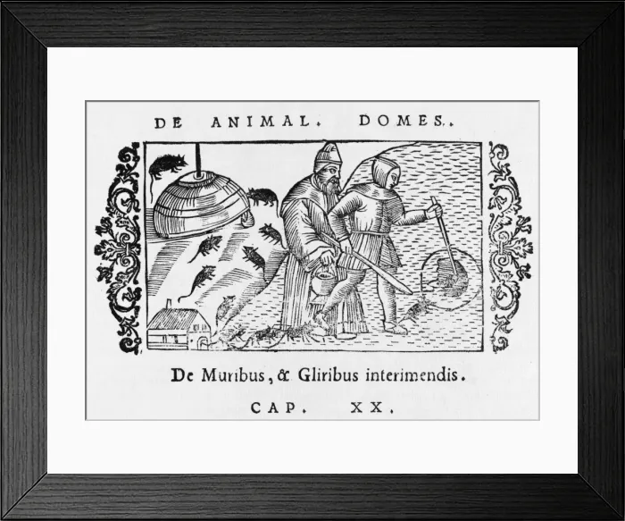 Framed Print : Mice / Dormice 1555 Framed Print : Mice / Dormice 1555
