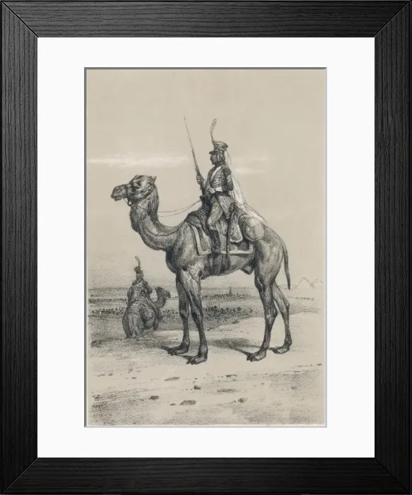 Framed Print : Camel & Rider Egypt 18C Framed Print : Camel & Rider Egypt 18C