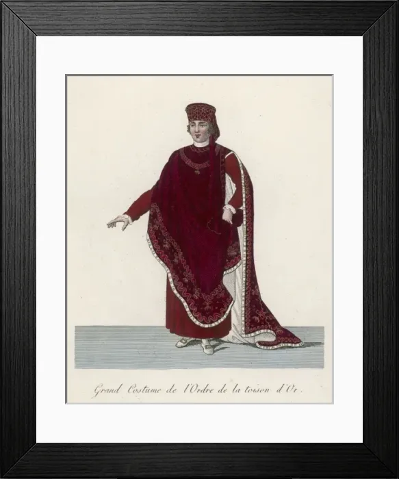 Framed Print : Knight of Golden Fleece Framed Print : Knight of Golden Fleece