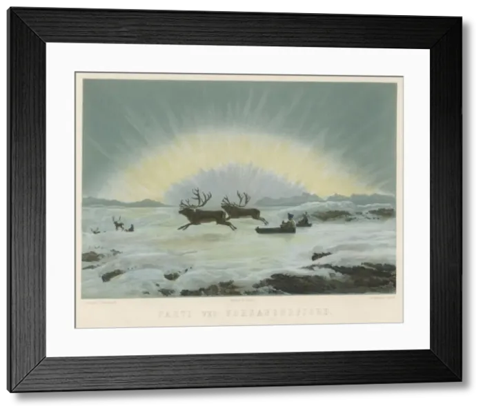 Framed Print : Aurora Borealis / Reindeer Framed Print : Aurora Borealis / Reindeer