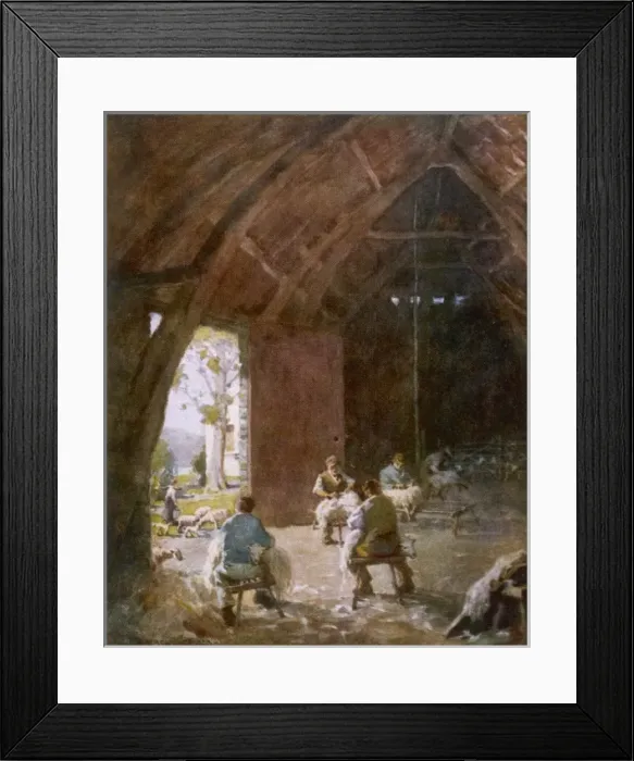 Framed Print : Sheep Shearing / 1908 Framed Print : Sheep Shearing / 1908